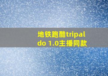 地铁跑酷tripaldo 1.0主播同款